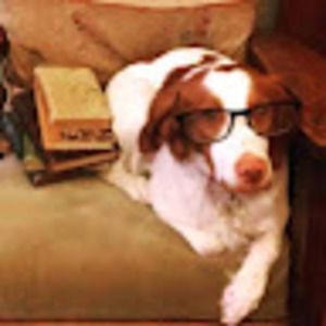 Meet your Posher, Joanie